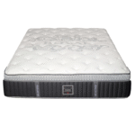 Dreamstar Modern Comfort Plush Mattress